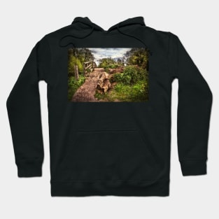 Pathway over Hissey Bridge Hoodie